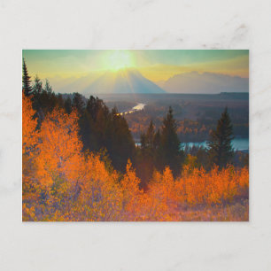 Golden Aspens Above Snake River At Sunset Postcard