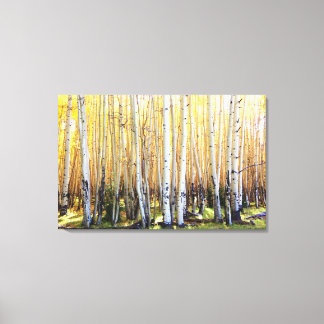 Golden Aspens Canvas Print