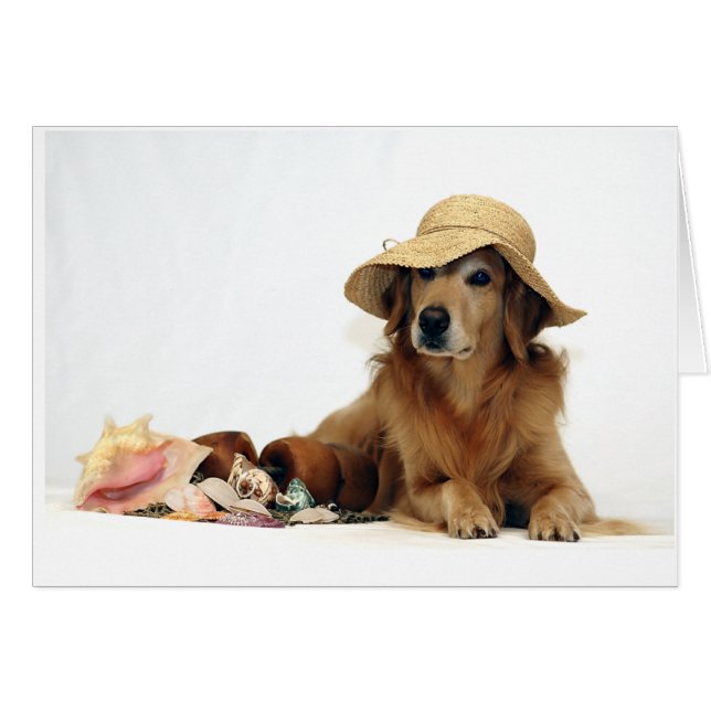 Golden at the Beach (Front Horizontal)