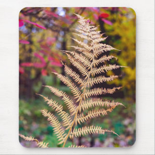 Golden Autumn Fern Leaf Specimen Mouse Mat