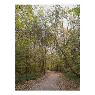Golden Autumn Forest Path Poster
