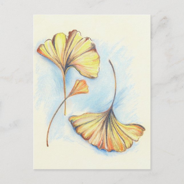 Golden Autumn Ginkgo Leaves Postcard (Front)