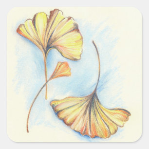 Golden Autumn Ginkgo Leaves Square Sticker