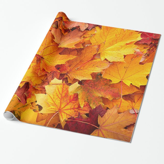 Golden Autumn Maple Leaves Wrapping Paper (Unrolled)