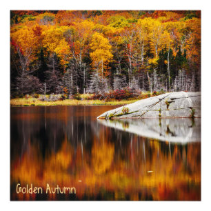 Golden Autumn Photo Print