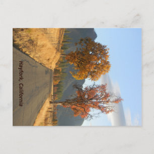Golden Autumn... Postcard