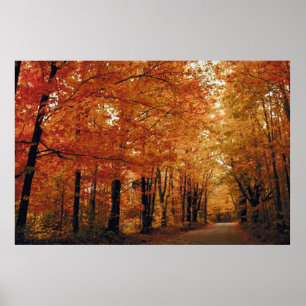 Golden Autumn Road Poster
