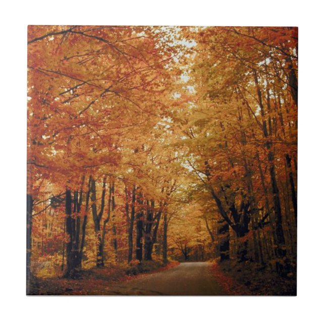 Golden Autumn Road Tile (Front)