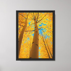 Golden Autumn Trees Reaching Towards Canvas Print