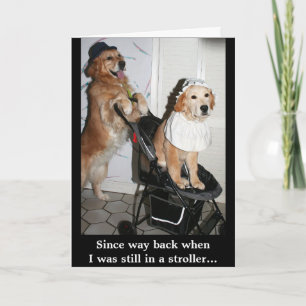 Golden Baby in Stroller for Father's Day Card