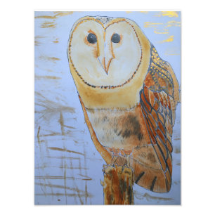 Golden Barn Owl Photo Print