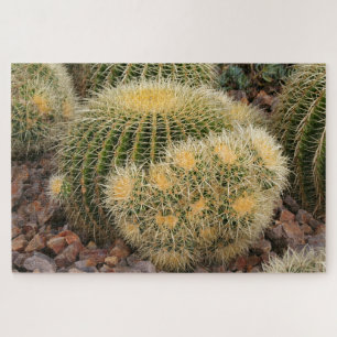 Golden barrel cactus jigsaw puzzle