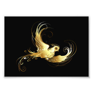 Golden Bird on Black Background Photo Print