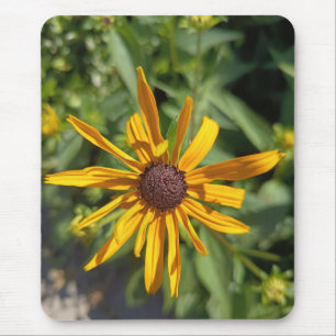 Golden Black-Eyed Susan Floral Mouse Pad Botanic