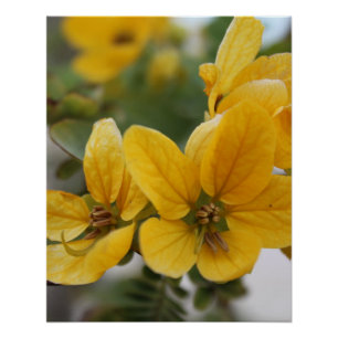 Golden Bloom Macro – Yellow Wildflower Photography Poster