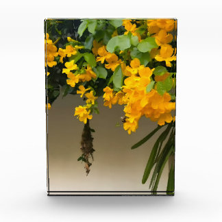 Golden Blossom Beauty Photo Block