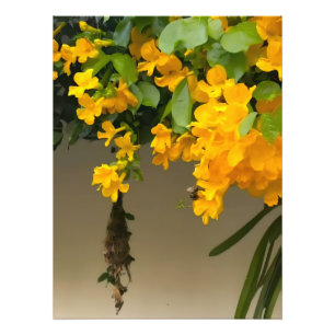 Golden Blossom Beauty Photo Print