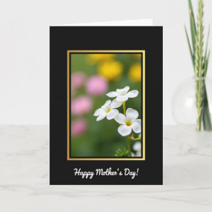 Golden Border Flower Card