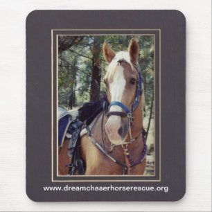 Golden Boy Mouse Mat