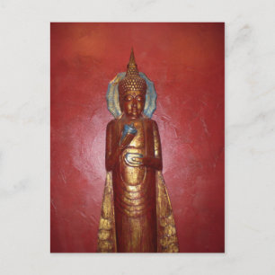 GOLDEN BUDDHA ON RED WALL POSTCARD