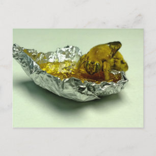 Golden Bumble Bee Eating Honey Postcard