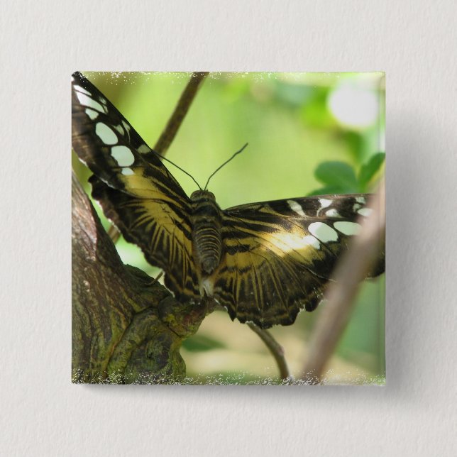 Golden Butterfly Square Pin (Front)