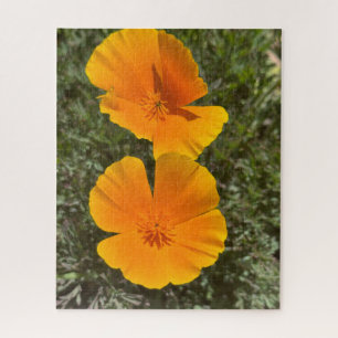 Golden California Poppies in Bloom, Oakland Jigsaw Puzzle