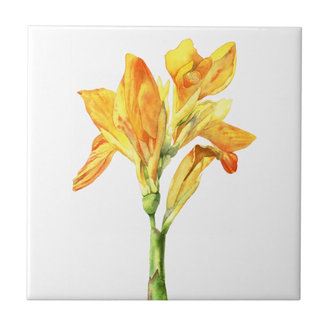 Golden Canna Flower Watercolor Painting Tile (Front)