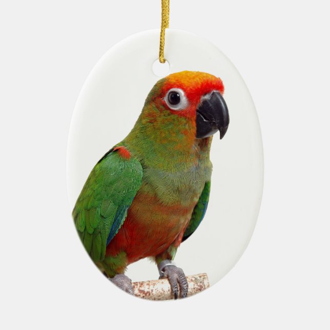 Golden-capped conure ceramic tree decoration (Front)