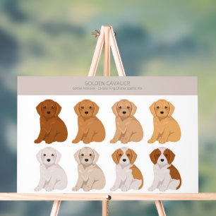 Golden Cavalier dog mix Acrylic Sign