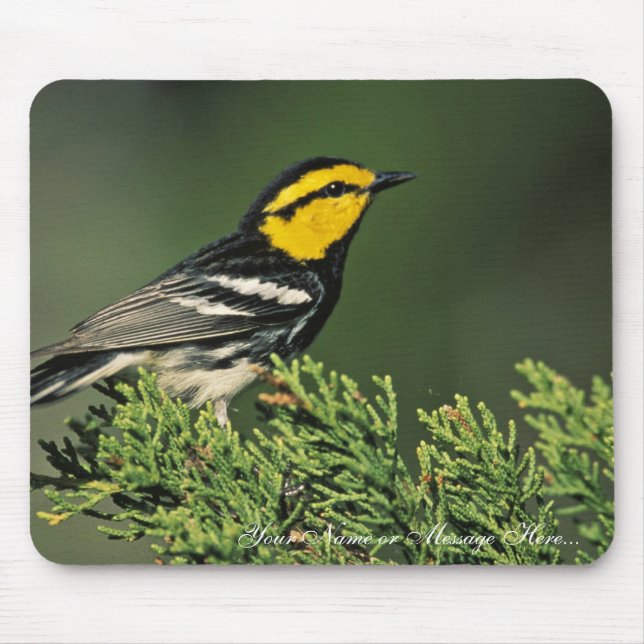 Golden-Cheeked Warbler Mouse Mat (Front)