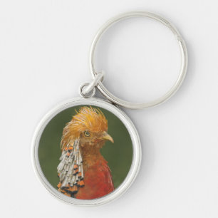 Golden/Chinese Pheasant Keyring/Keychain Key Ring