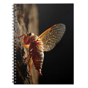 Golden Cicada Wings Notebook