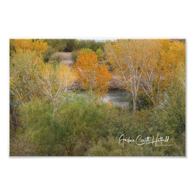 Golden Colorado Photo Print (Front)