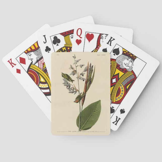 Golden-crowned Kinglet, Audubon's Birds of America Playing Cards (Back)