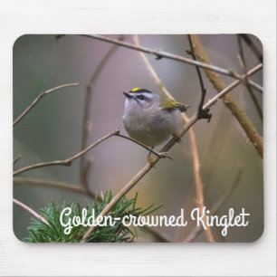 Golden-Crowned Kinglet Mouse Mat