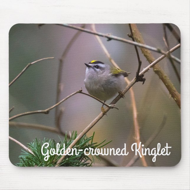 Golden-Crowned Kinglet Mouse Mat (Front)