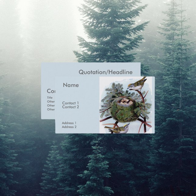 golden crowned kinglets  business card (Creator Uploaded)