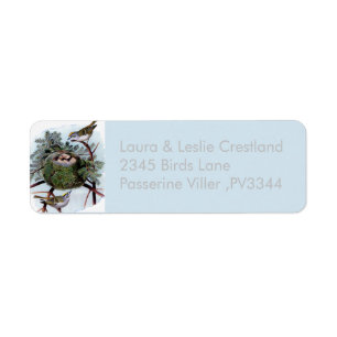 golden crowned kinglets - vintage birds