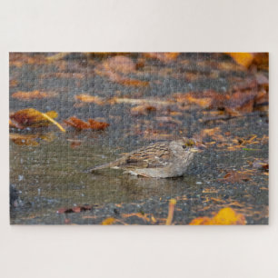 Golden-crowned Sparrow Jigsaw Puzzle