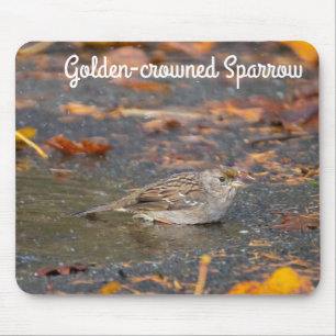 Golden-crowned Sparrow Mouse Mat
