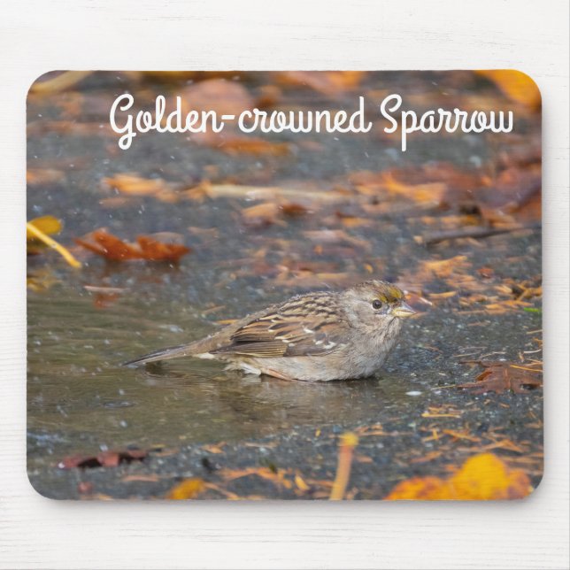 Golden-crowned Sparrow Mouse Mat (Front)