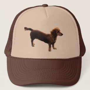 Golden Dachshund Trucker Hat