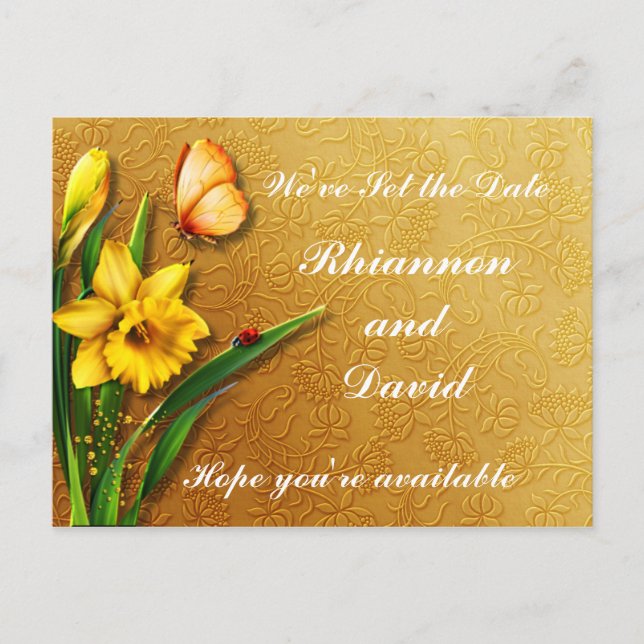 Golden Daffodils Announcement Postcard (Front)