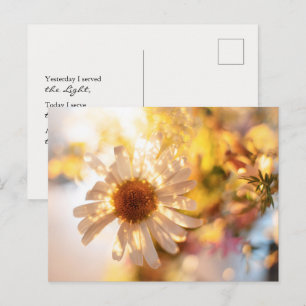 Golden daisy with universal spiritual message postcard