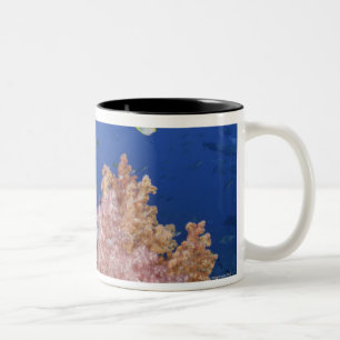 Golden Damselfish (Amblyglyphidodon aureus), Two-Tone Coffee Mug