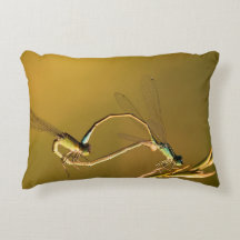 Golden Damselflies Original Macro Photography