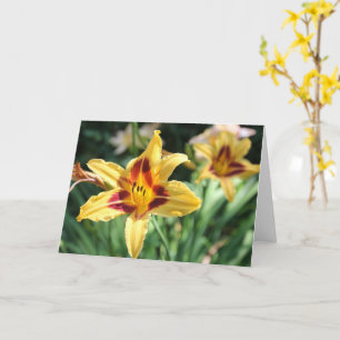 Golden Daylily Blank Inside Personal Message Card