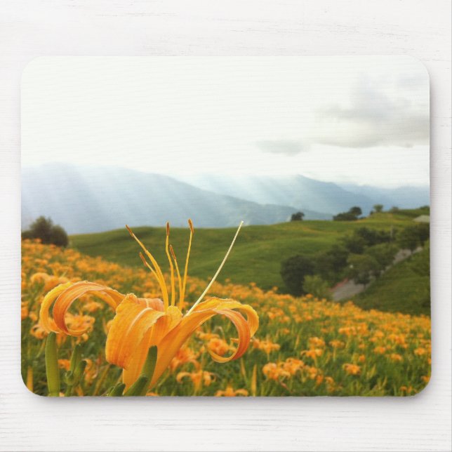 Golden Daylily flower Valley Mouse Mat (Front)