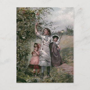 Golden Days Vintage Book Illustration Postcard